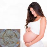 Tổ Yến-tốt nhất cho phụ nữ mang thai